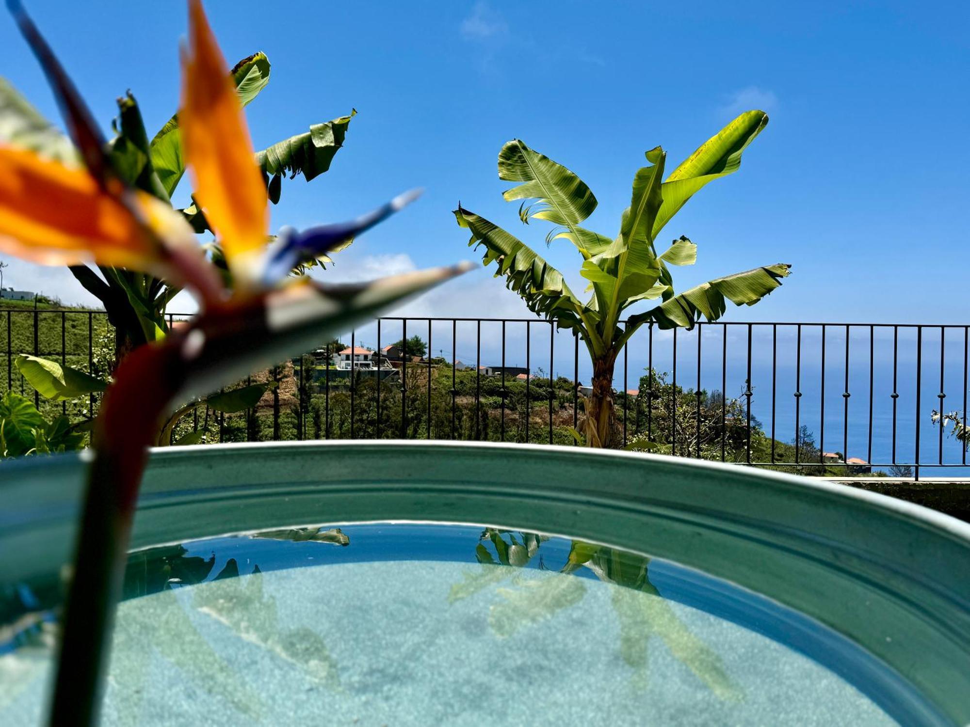 Meerblick - 3-Bett Villa Mit Terrassen & Hot-Tub Fajã da Ovelha Exterior foto